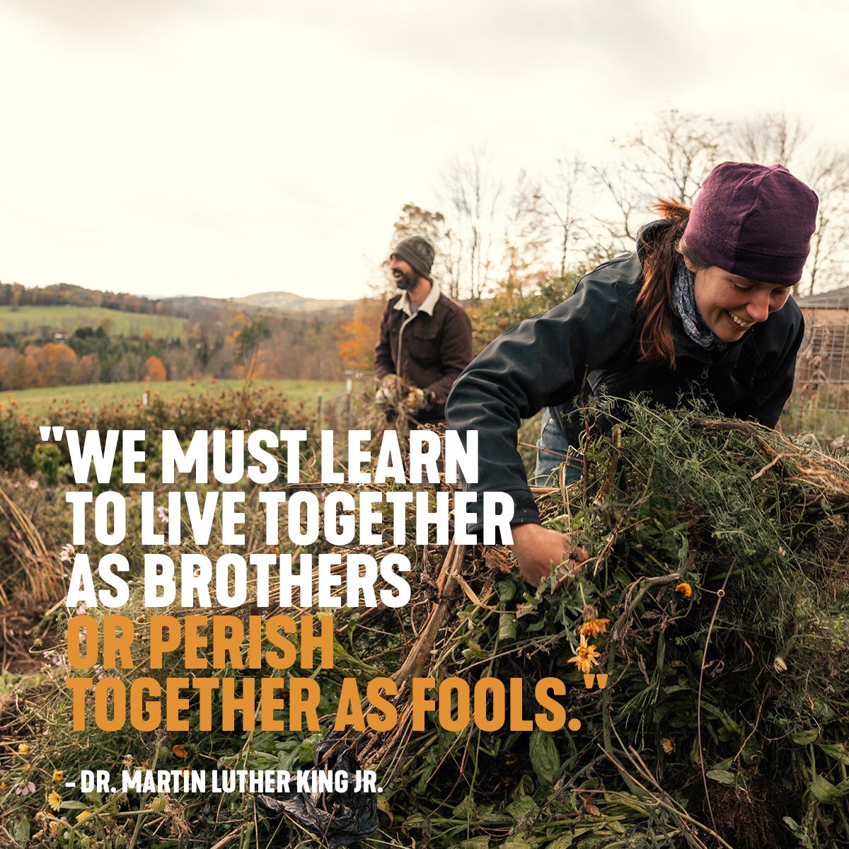 We must learn to live together as brothers or perish together as fools. - Dr. Martin Luther King Jr.